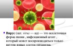 Неклеточные организмы — вирусы – биология