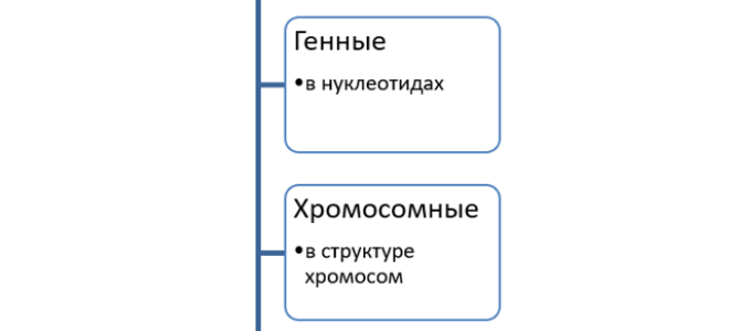 Наследственная изменчивость и ее типы, Биология