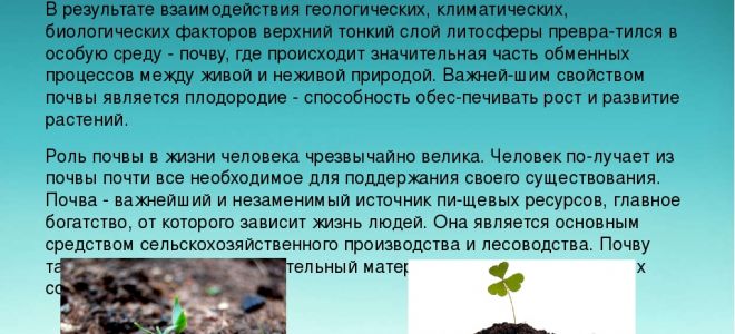 Почва в природе – биология