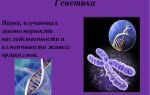 Генетика как наука – биология