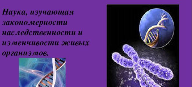 Генетика как наука – биология