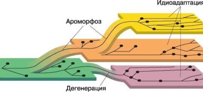 Проблемы рационального использования видов и сохранения их многообразия, Биология