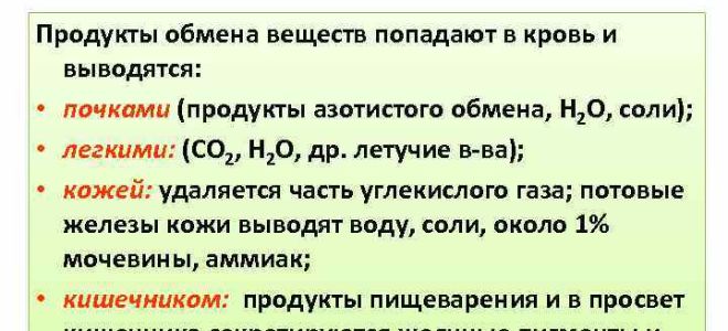 Выводы к главе “выделение продуктов обмена” – биология