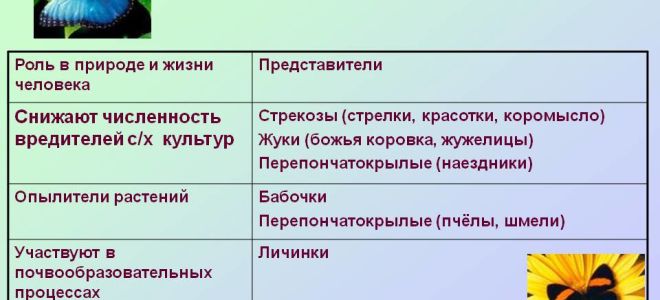 Значение насекомых в природе и сельском хозяйстве – биология