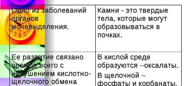 Заболевания органов мочевыделения – биология