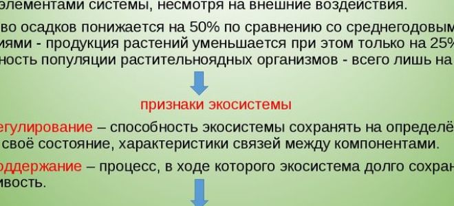 Устойчивость биосферы – биология