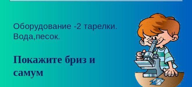Движение воздуха, Биология