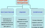 Биогеоценоз, его состав и структура – биология