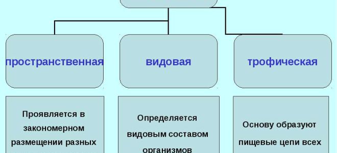 Рост и развитие вегетативных органов – биология