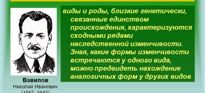 Наследственная изменчивость. закон гомологических рядов в наследственной изменчивости – биология