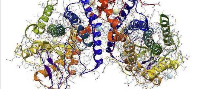 Ботаника – что это такое?