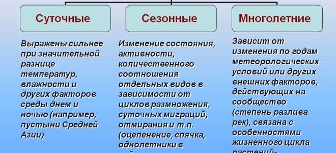 Суточные и сезонные изменения биогеоценозов – биология