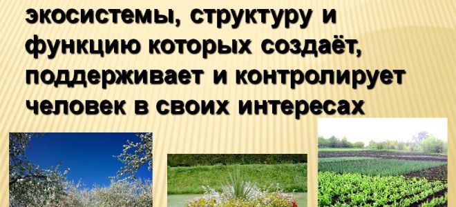 Агробиоценозы – биология