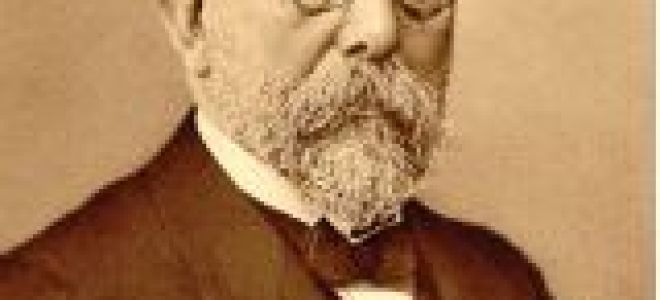 Роль бактерий в природе и жизни человека, Биология
