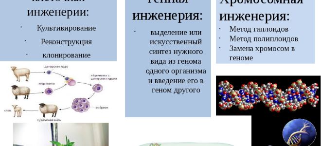 Естественный отбор – биология