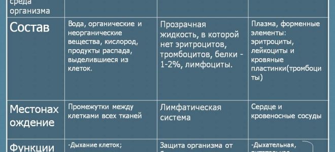 Состав внутренней среды организма и ее функции – биология