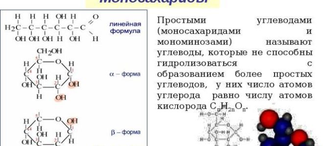 Органические вещества клетки: углеводы и липиды, биология