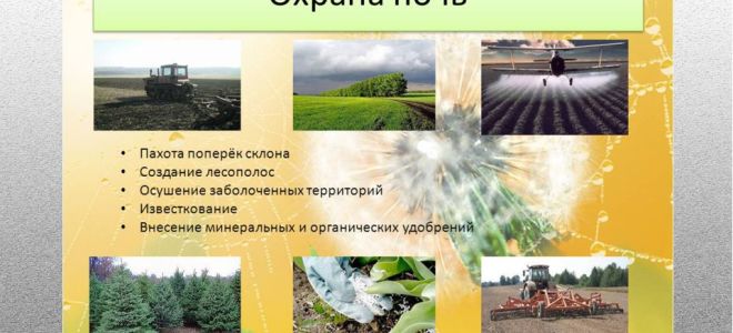 Охрана почвы – биология