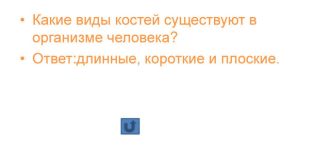 Кровеносная, дыхательная и опорно-двигательная системы