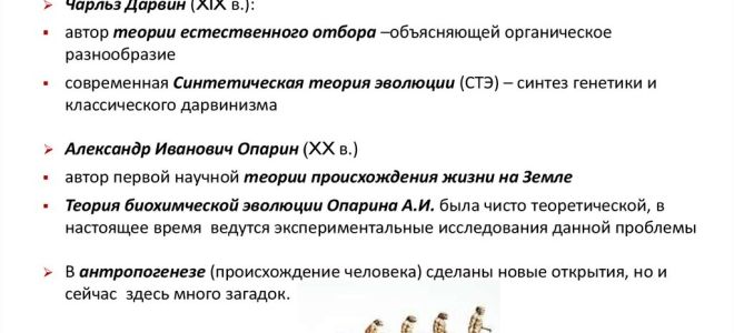 Спорогенез и гаметогенез – биология