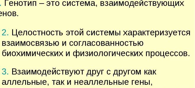 Генотип – целостная система – биология