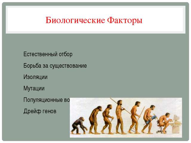 Факторы эволюции человека кратко. Естественный отбор у людей. Факторы эволюции естественный отбор. Биологические и социальные факторы эволюции человека. Биологическая Эволюция факторы эволюции.