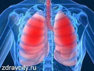 Заболевание органов дыхания, их профилактика