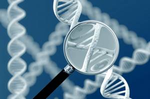 Генетика человека как наука, Биология