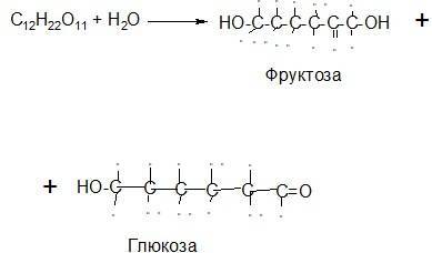 Углеводы, моносахариды, олигосахариды и полисахариды. Функции углеводов