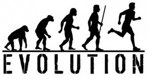 Результаты эволюции, Биология