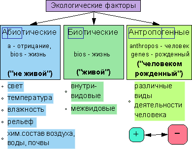 Зависимость роста и развития растений от условий окружающей среды, Биология