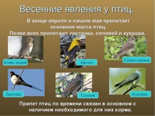 Сезонные явления в жизни птиц, Биология