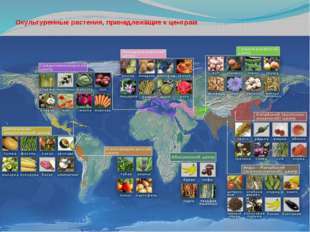 Центры многообразия и происхождения культурных растений, Биология
