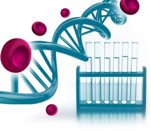 Дезоксирибонуклеиновые кислоты (ДНК) и Принцип комплементарности