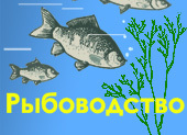Размножение, развитие и миграции рыб, Биология