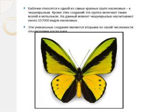 Отряд Чешуекрылые, или Бабочки, Биология