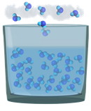 Испарение воды и конденсация водяного пара, Биология