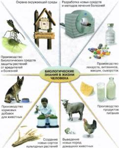 Жизнь организмов в природе, Биология