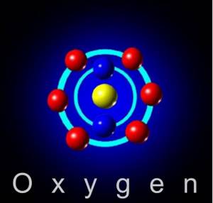 Значение кислорода и углекислого газа в природе и жизни человека, Биология