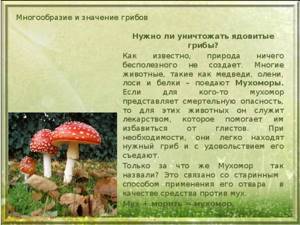 Многообразие и значение грибов, Биология