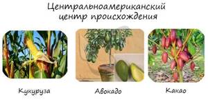 Многообразие и происхождение культурных растений, Биология