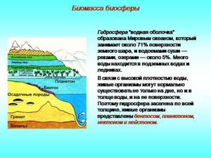 Биомасса поверхности суши и океана, Биология