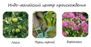 Многообразие и происхождение культурных растений, Биология