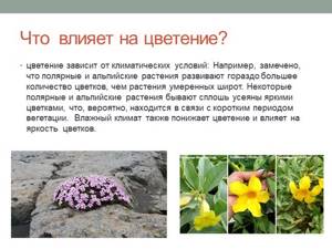Цветение и опыление растений, Биология